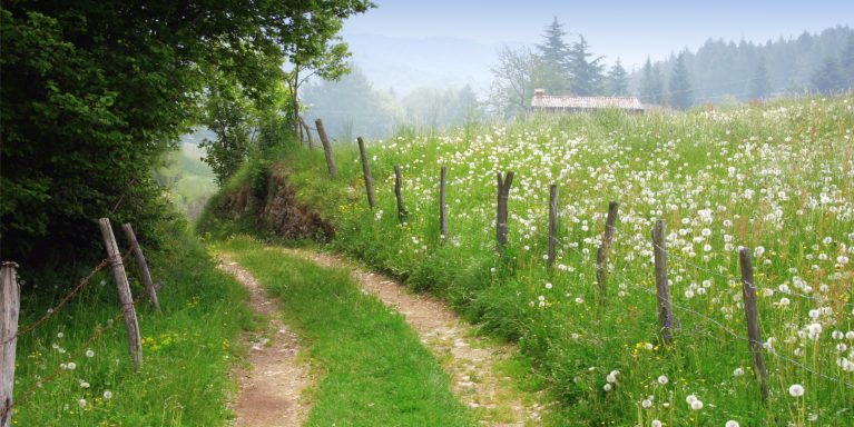 Zahnklinik Klinik am Schloss: Wandern